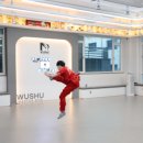 국가대표 우슈도장 이미지