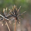 도깨비한의원 이미지