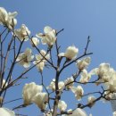 안진초등학교 이미지