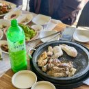 도토리민박 | 전남 구례 펜션 닭구이 피아골계곡 맛집 당치민박산장 추천