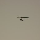 하늘지기 이미지