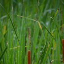 운길산역 이미지