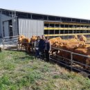 만희농장 이미지