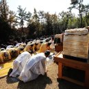 창녕조씨 항렬(行列)과 세(世), 대수(代數) 이미지