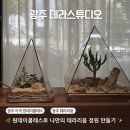 12/9 크리스마스 테라리움 | 광주 데라스튜디오 후기│힐링 원데이클래스, 나만의 테라리움 정원 만들기