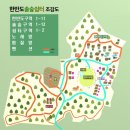 영월 &#39;한반도 솔숲 쉼터&#39; 애견동반 캠핑장 추천(한반도 2번 사이트)