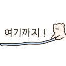더뷰티아미고 이미지