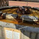 새푸른약국 | 일본벳부 온천 여행 1박2일코스 Day2. 벳푸역 가볼만한 곳, 벳푸여행 N회차 추천 벳푸관광명소 『벳푸...