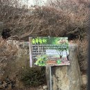 백운장뇌삼관광농원 네이버블로그