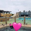 다정이네 이미지