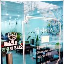 사파동121 이미지