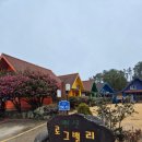 통나무밸리 | 제주 애월 아이랑 숙소 추천 로그밸리 펜션 승마체험 토끼먹이주기 체험이 무료