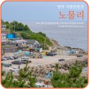 영해만세시장 / 영해관광시장 (5, 10일) 네이버블로그
