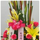 한국숲해설가협회 이미지