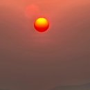 느티나무 플랫폼 | 포토그래퍼의 하루ㅣ후포항 갈매기와 장화리 일몰, 그리고 김포 맛집까지