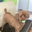 중화요리 마루 이미지