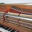 석봉마을6단지 대동아파트 이미지