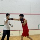 팀홍복싱 이미지