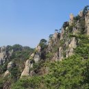 에덴동산 이미지