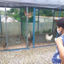 용천농원 이미지