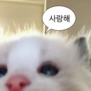 상현농장 | 2025 09