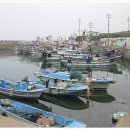 소화사도