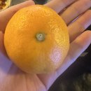 초원세탁 | 잠실역 고기집, 초원소금구이 차돌삼합 후기 (미치게 맛있어요)