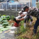 하동수지 이미지