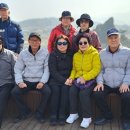 화지8리 티스토리