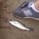 양사낚시터 이미지