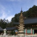 조영희목장 이미지