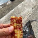 구뜨밀