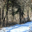 동림리(상동림) 이미지