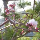 오륙도중학교 이미지