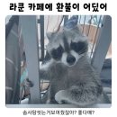 종로-연건-종로-연-555 | 240423-240512
