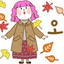 천지 애견 네이버블로그