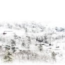 수원 46 수원일보