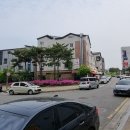 호매실벚꽃음식문화거리 이미지