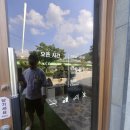 달공이디저트 | 세종 구스커피, 거위 가족 보러 가는 금남면 대형카페
