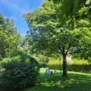 유림-1020 | [유럽 여행] 오스트리아 빈 4박5일 여행 2일차 일정 🇦🇹