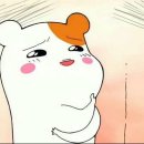 (주)마리투어 이미지