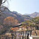 용문사 티스토리
