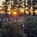 헬로반디 이미지