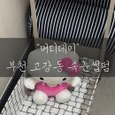 원종동 주민지원센터 | 고강동 속눈썹펌 후기 | 머디데이 부천&amp;원종동 속눈썹펌 추천