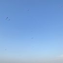 월궁다방 | [경주] 1박 2일 뚜벅이 경주 여행 day 1.5~2