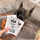 펫클럽우만 | [인계동 반려동물 용품점] 펫클럽 우만사거리점 내돈내산 후기