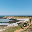 제주올레 이미지