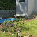 사시장청 이미지