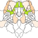 산토끼옹달샘 이미지