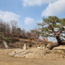 낙동강변18 이미지